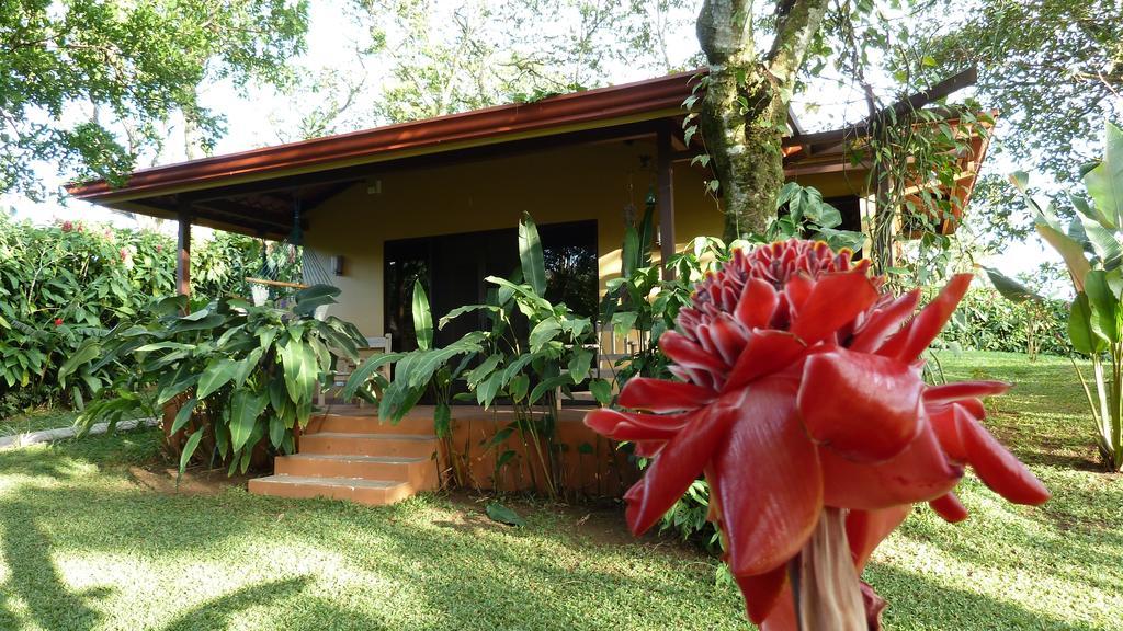 Lodge Tacacori Alajuela